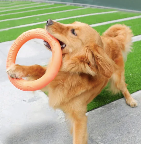 Dog Frisbee Ring | 3-in-1 Training Toy