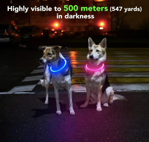 LED Dog Collar | Waterproof Rechargeable