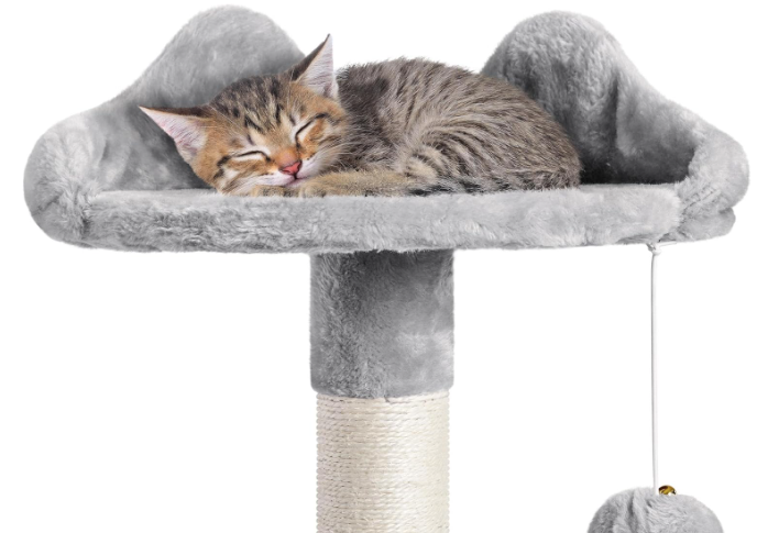 Stable Cat Tree | Multi-Level Cat Tower