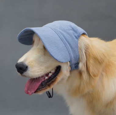 Sun Cap for dogs | Durable Dog Cap